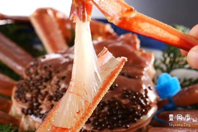 城崎溫泉旅館供應的松葉蟹料理