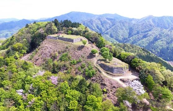 有子山城跡空拍，山頂殘存石垣